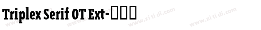 Triplex Serif OT Ext字体转换